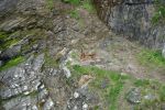 PICTURES/Whaligoe Steps/t_Winch1.JPG